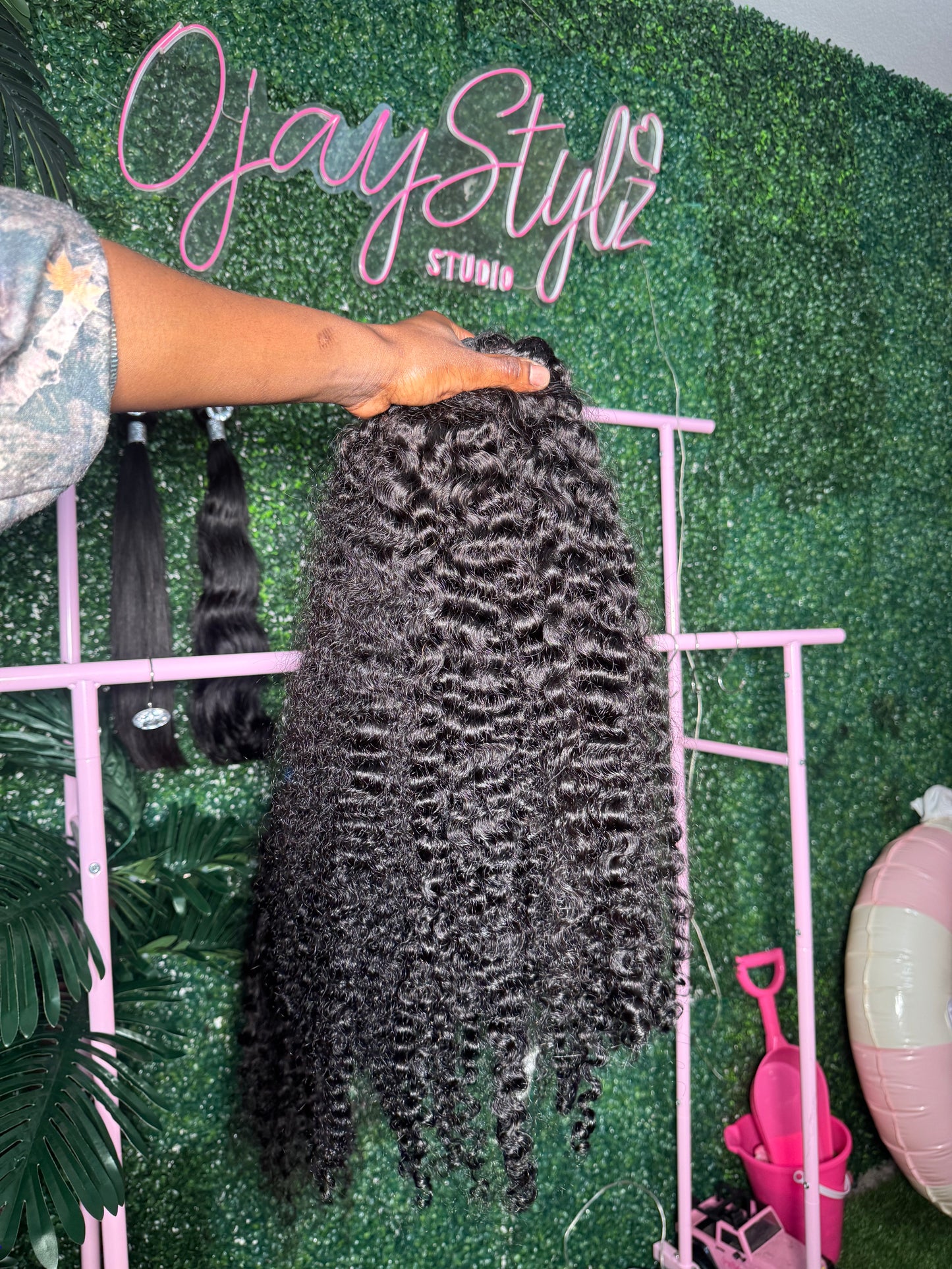 Burmese Curly
