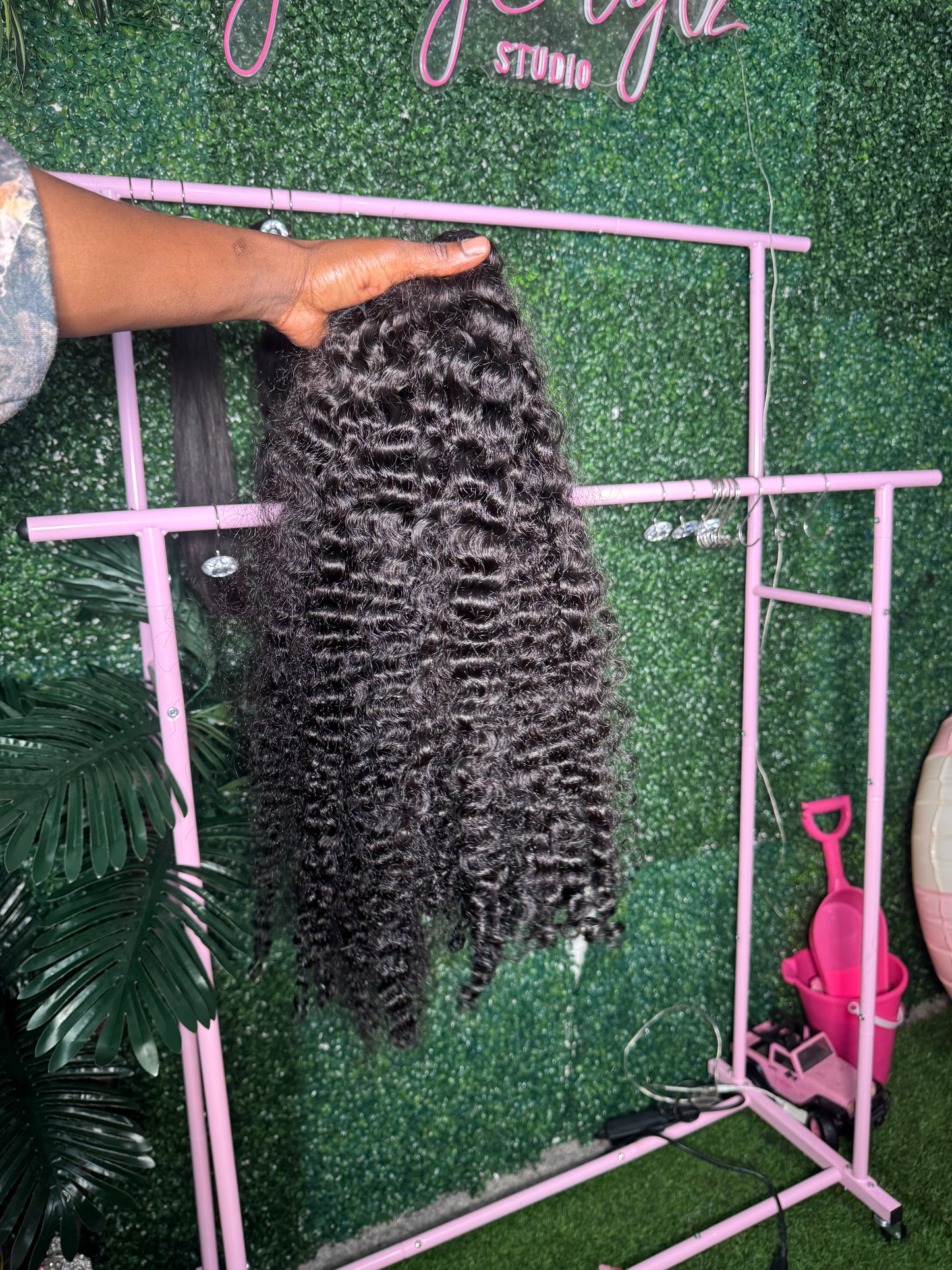 Burmese Curly