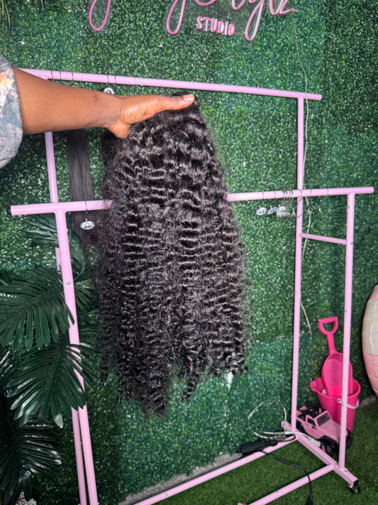 Burmese Curly