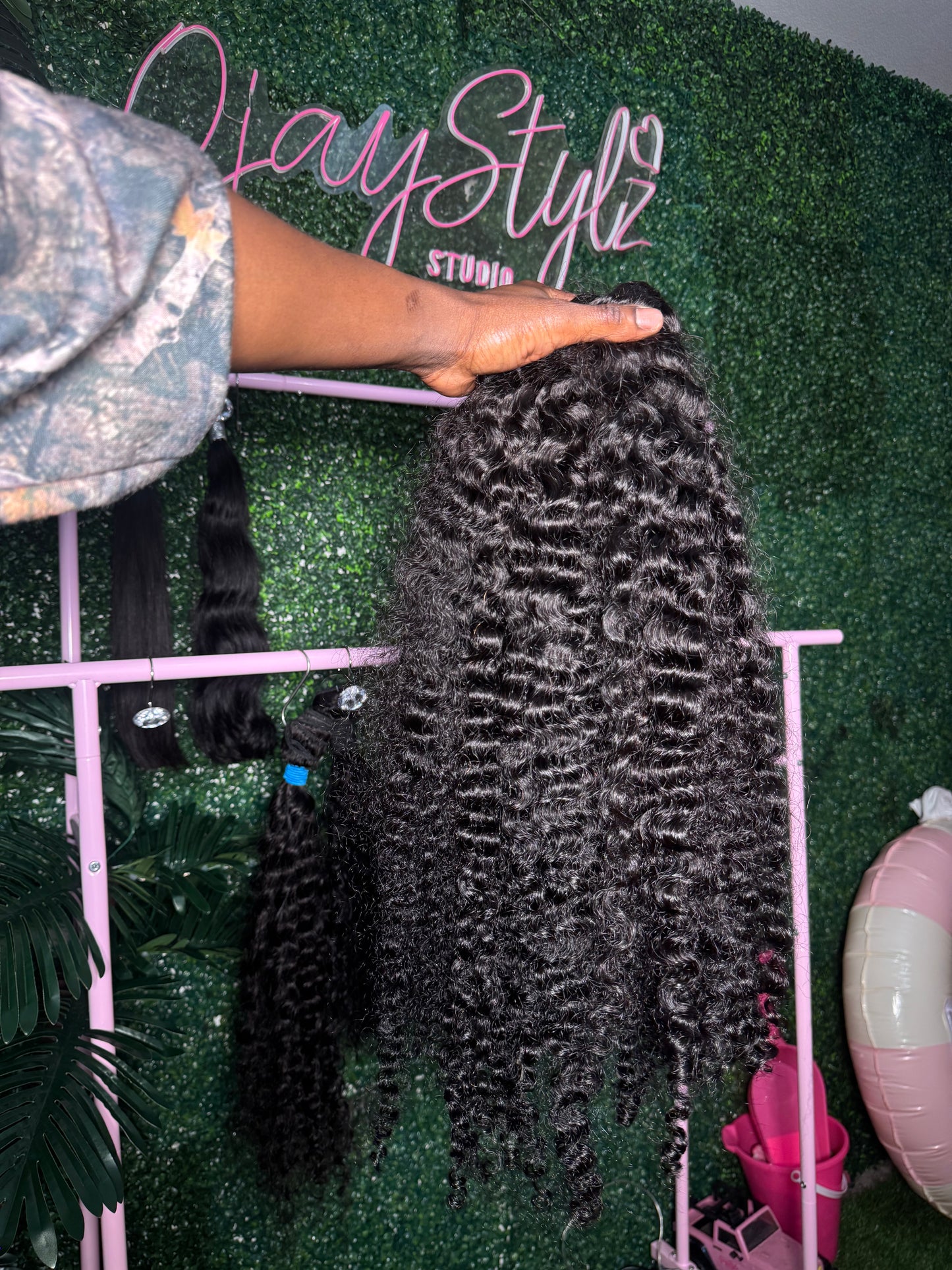 Burmese Curly